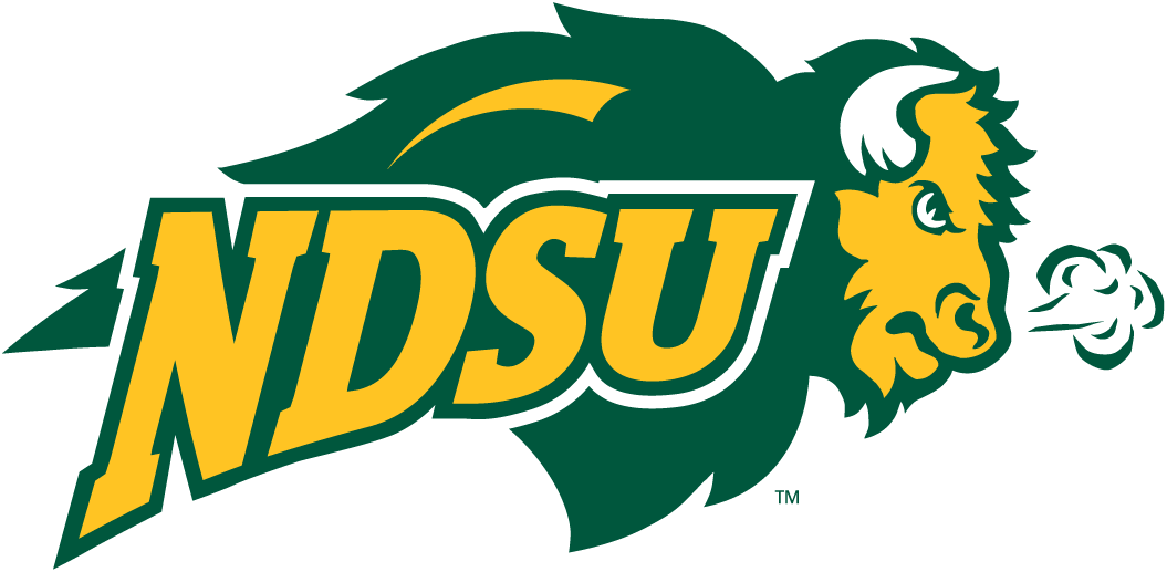 North Dakota State Bison 2005-2011 Secondary Logo v2 iron on transfers for fabric